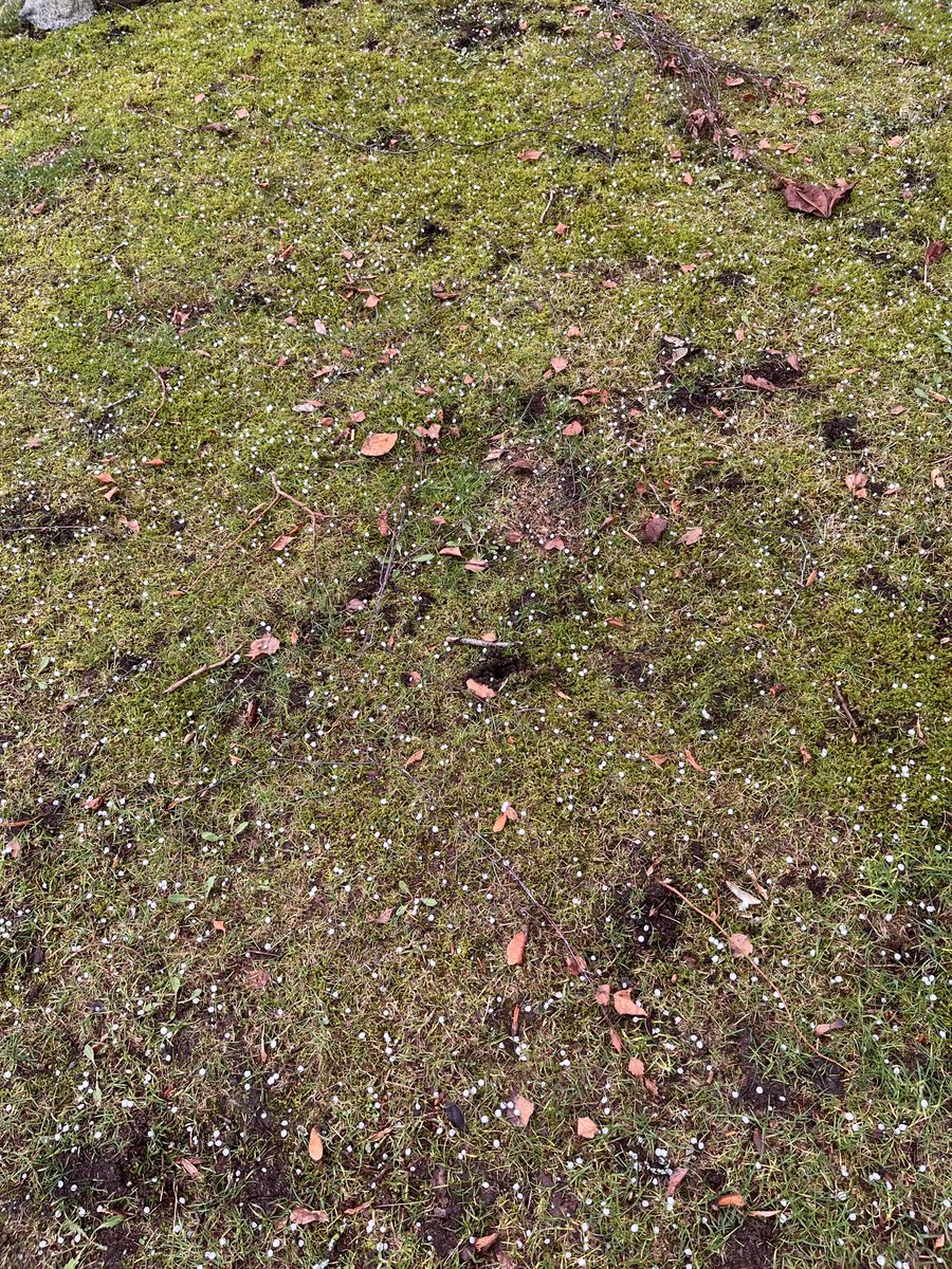 VanRealDeal's tweet photo. Hailstorm in Kits! #RandomWeather https://t.co/z7nYOFXvGy