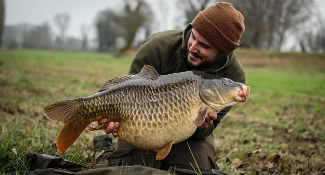MainlineBaits's tweet photo. Italian big carp ace Gianluca Leporini fished a Snowman made from a 15mm Banoffee bottom bait and a Chocolate Orange Fizz Pop-Up. Gianluca presented this over a small handful of boilies and a little matching PVA stick to bank this cracker.

 #carpfising #mainlinebaits https://t.co/CqUu4dR4I2