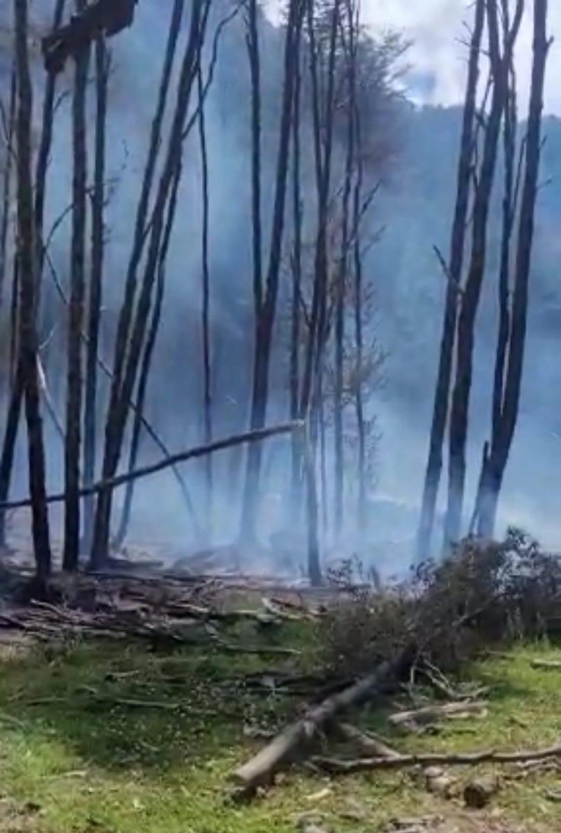 canal11aysen's tweet photo. actualización: Desde la Conaf informan que incendio Forestal en Sector Alto Mañihuales Sector La Martina,  el cual se encontraría en combate  con una afectación de una Hectárea de vegetación nativa. (Bosque de Lenga). Emergencia esta contenida En el lugar trabajan Brigada CONAF. https://t.co/EZbffjDQ3n