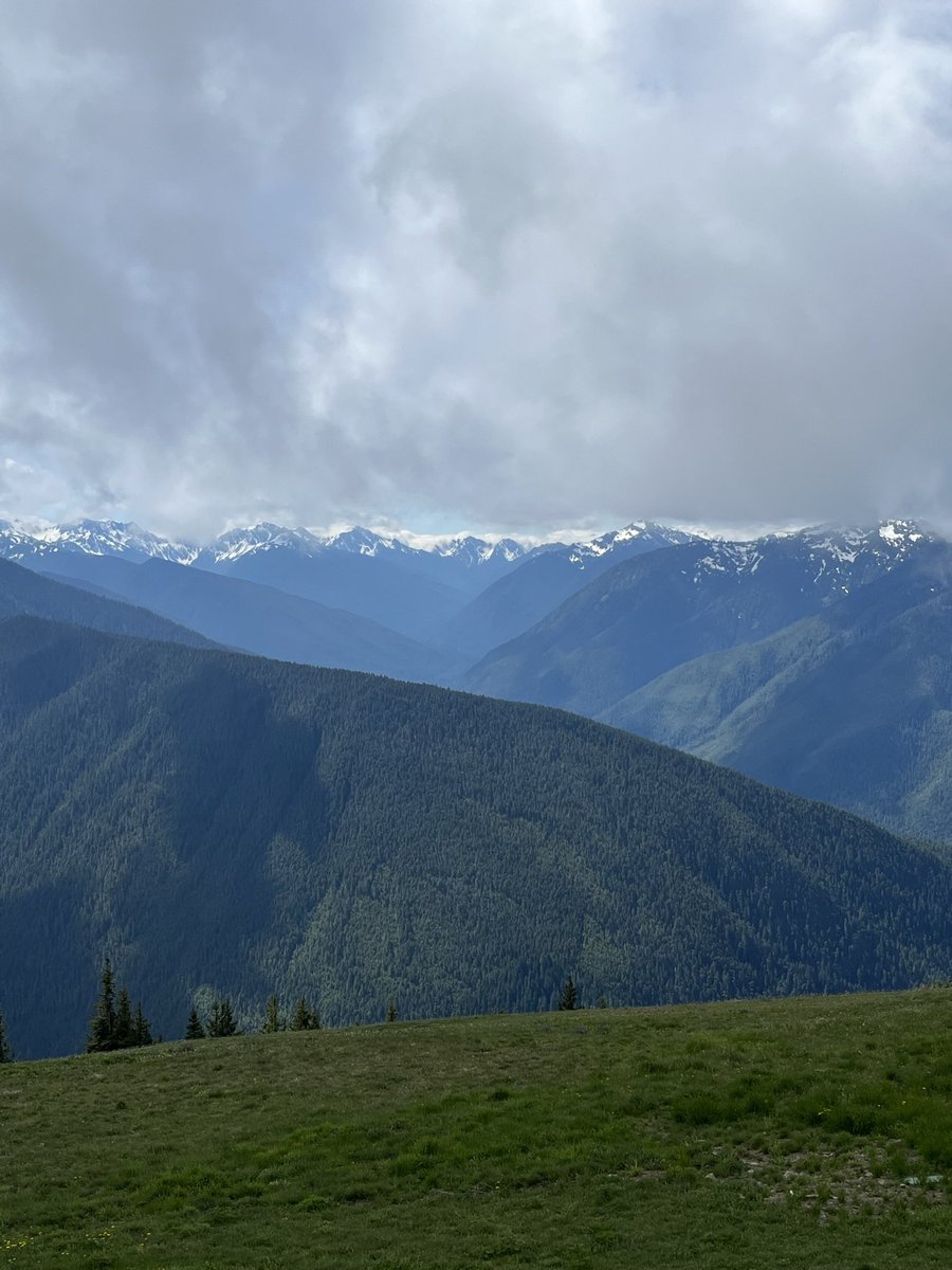 Hurricane Ridge, overlooking the Olympics ❤️❤️❤️ Pictured here in spring last year. I’m just one #pnw girl ready for #spring #mountains #olympics #wa #portangeles #gooutside #lovetheplaceyoulive