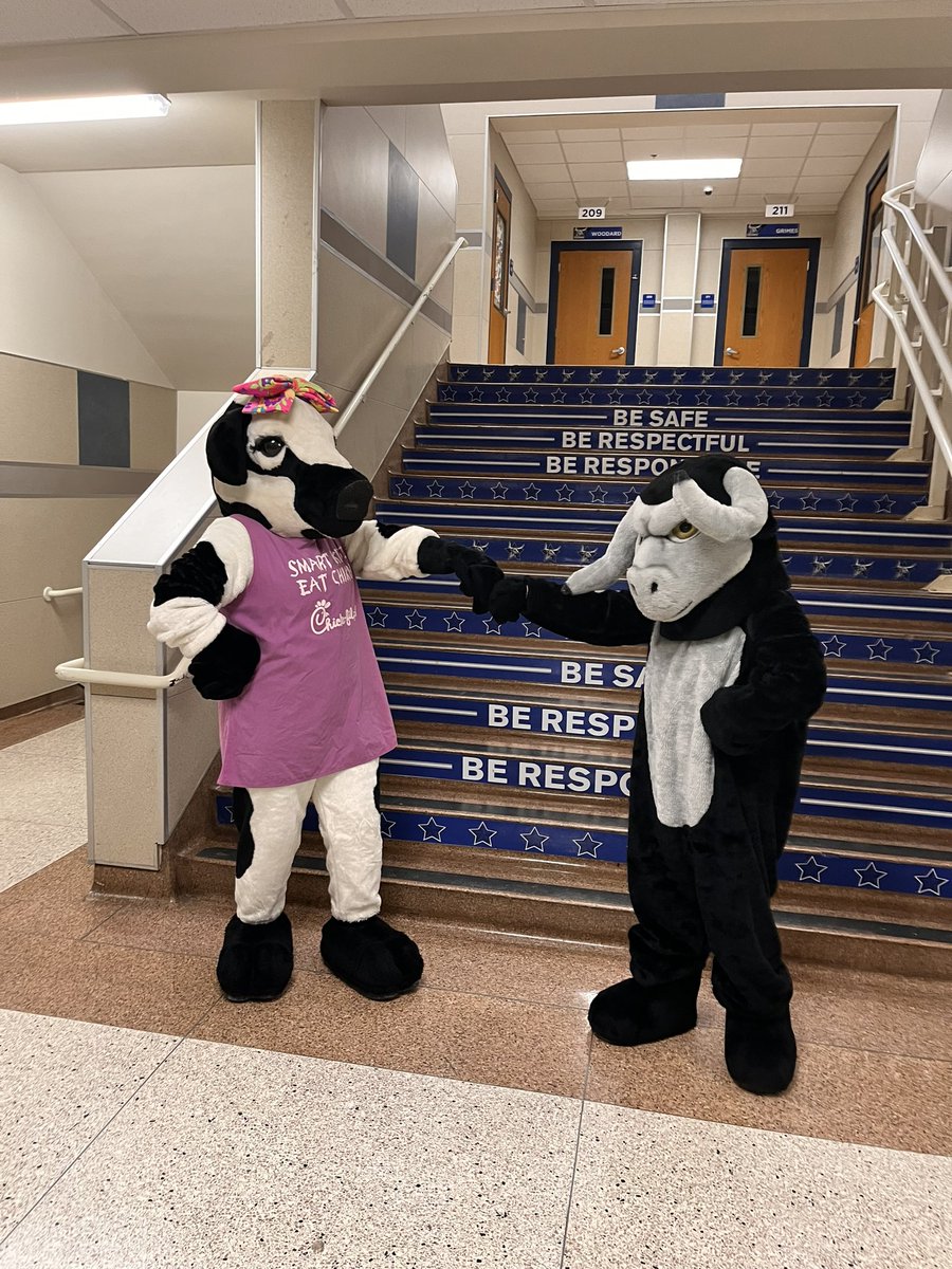 Stephanie Duncan tweet media