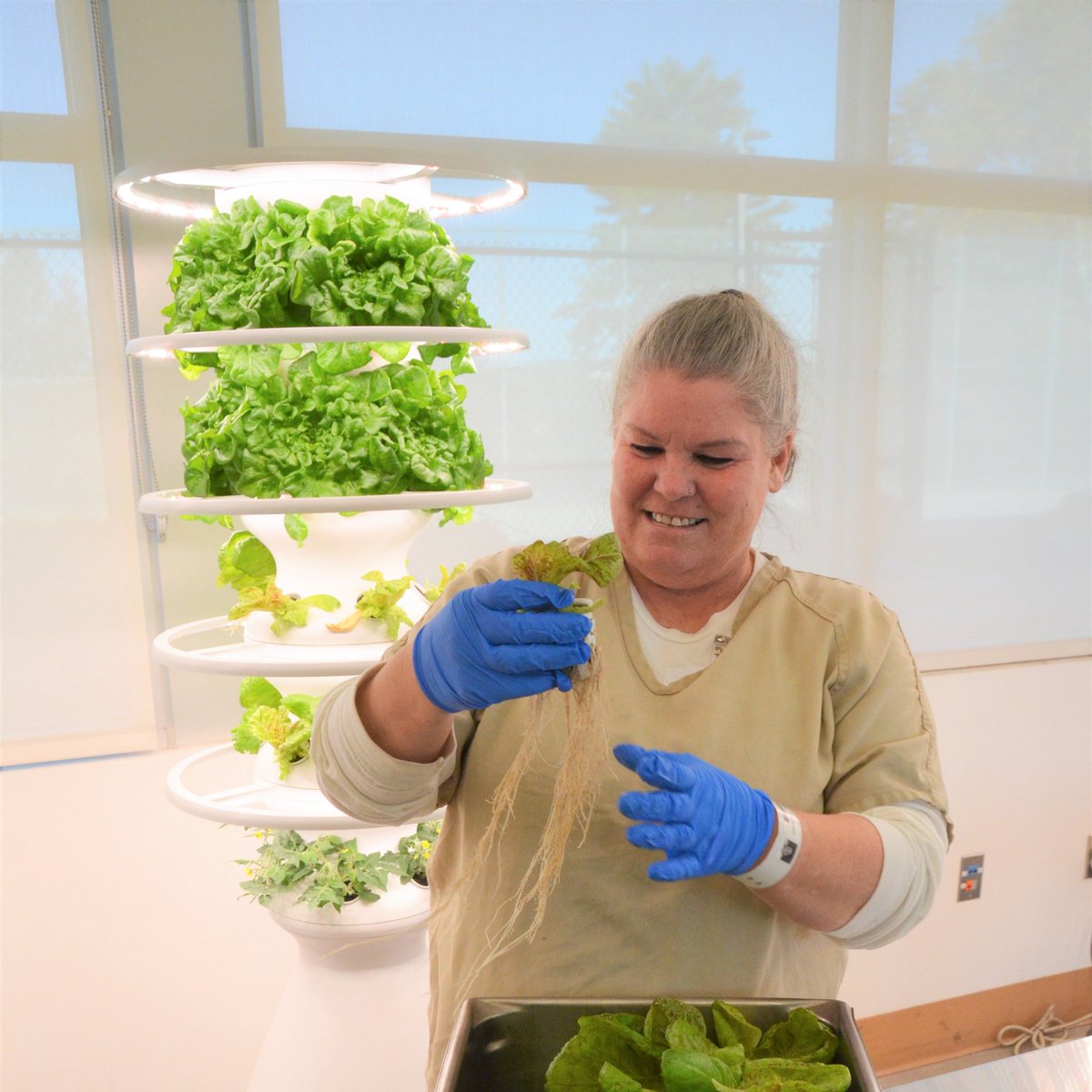 SDSheriff's tweet photo. #ReentryWorks
It's Pride in Food Service Week.
We want to highlight the amazing @SDSheriff #reentry programs we have for those in our custody to help prepare them for employment opportunities.
Farm to Table Gardening
Barista
Culinary Arts
Baking
https://t.co/Joxmx1MyKE https://t.co/PrG3dH8ZBr