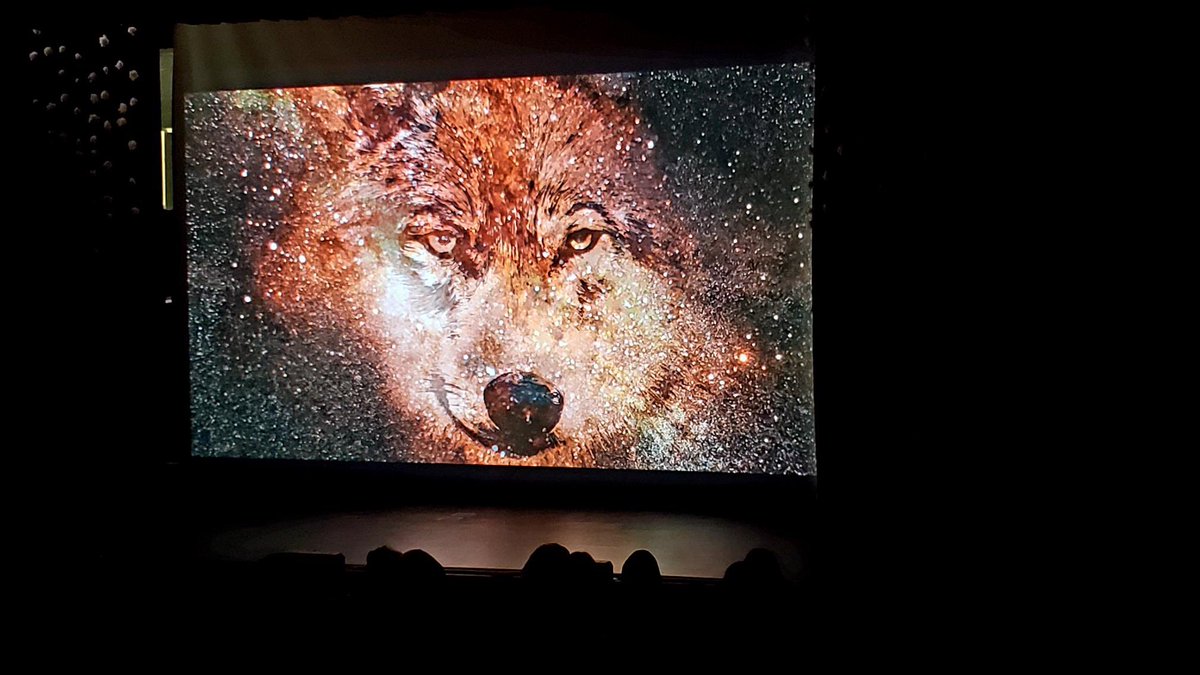 TELUS_Spark's tweet photo. Spark took a visit to #SiksikaHighSchool today with a portable dome theatre, to show the film #BlackfootSkies!
#sparkscience #spark2go https://t.co/Ax1TgnTFb4