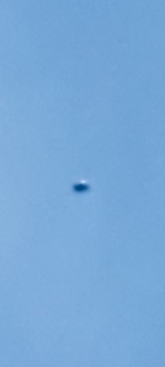 indigo__dreams_'s tweet image. Look Up. ✌️👽 #officialfirstcontact