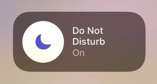 studywhitlu's tweet image. O new search | #studytwt

- Malu. 09. ela/dela.
- 9° do ensino fundamental.
- brasileira.
- foco: notas bimestrais. 
------
&amp;lt;3 Lana del rey· séries· música· café · livros· fotografia |