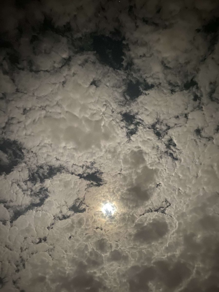 في ليلةٍ قمرا هواهَا صفا لي ❤️