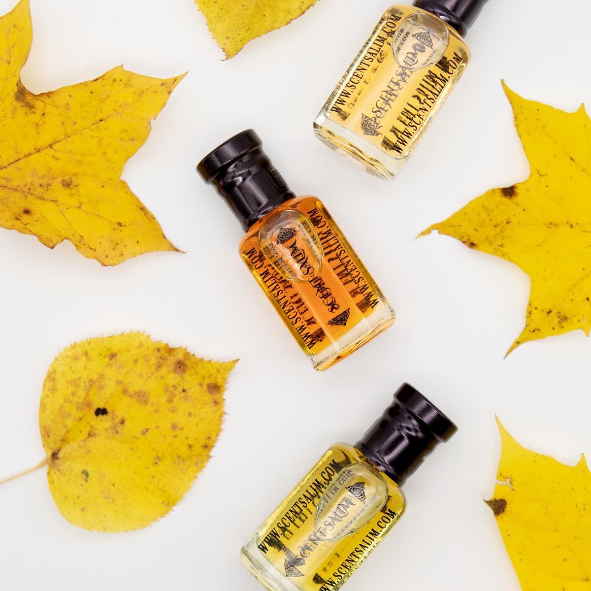 oudbyscentsalim's tweet photo. Stop and smell the Oud scents, discover a unique gift for someone special. Try one of our Oud gift boxes.
.
.
#scentsalim #scent #oudshop #gift #giftbox #oudgiftbox #giftideas #valentines #oudbox #gifted https://t.co/v8jf9Ftfll
