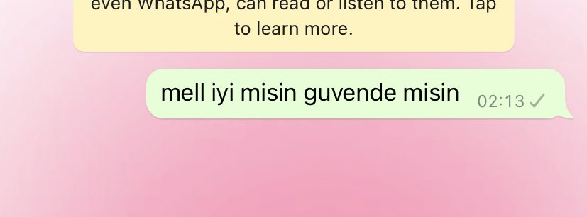 mesajlarim iletilmeyince aradim ama aradiginiz kisi mesgul dedi buyuk ihtimalle telefonu acik fakat sebekede problem var acik adresini bulmama yardimci olabilir misiniz