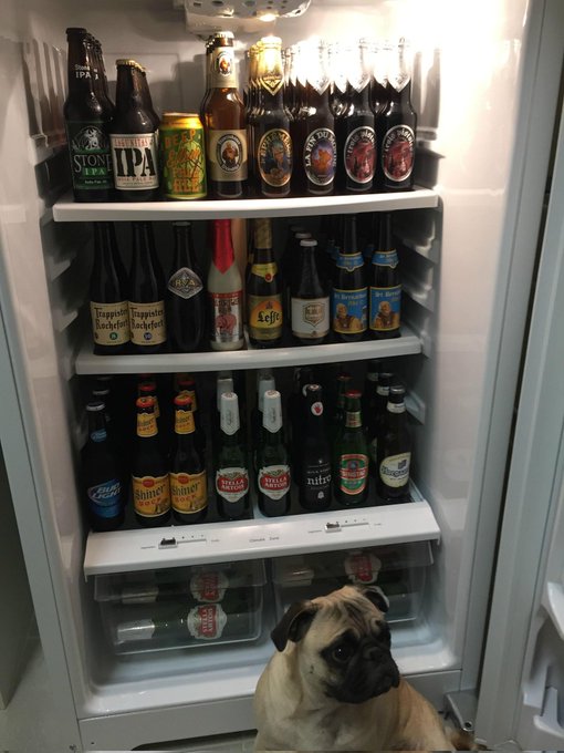 JimmygIV's tweet image. #WorkExcuseIn4Words   too many beers, not enough time