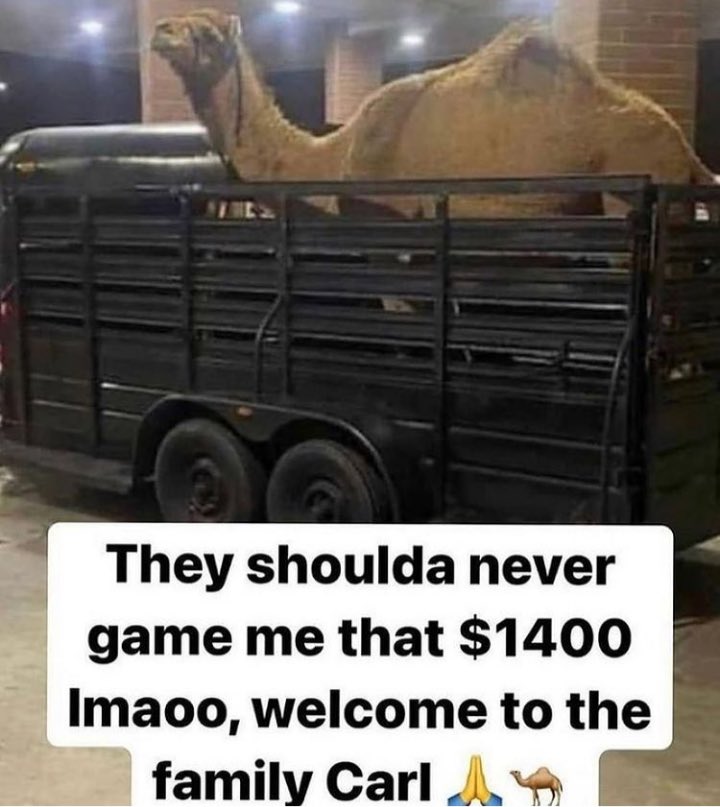 twtkane's tweet photo. @cornski Tax return just hit 💰 https://t.co/28JTK9lEi1