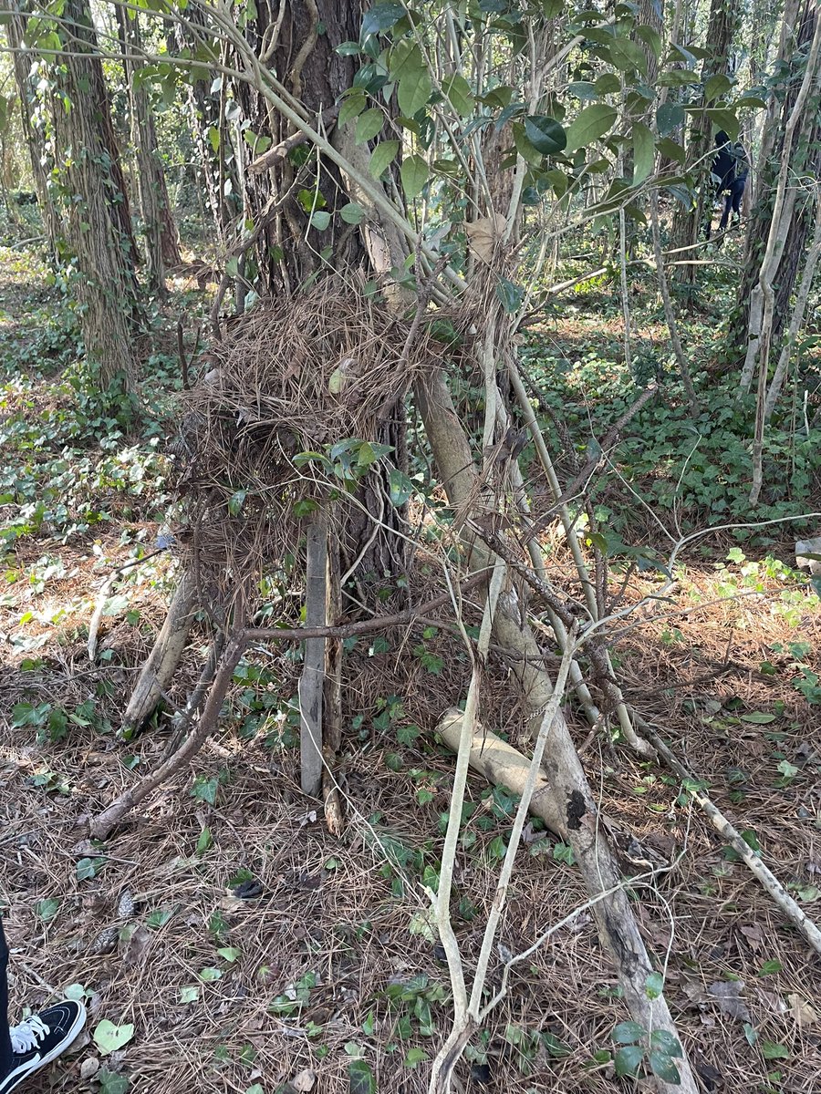 Timmy Gies tweet media