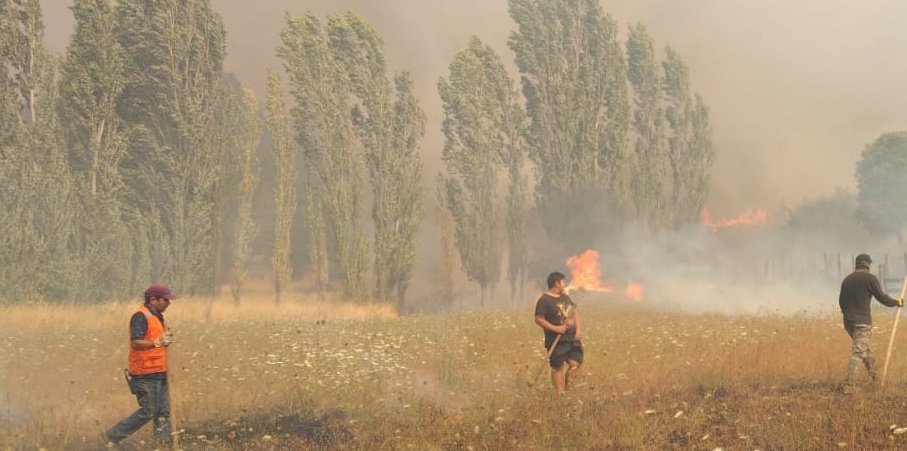 Ranquil y sus vecinos organizados defienden sus viviendas /viñedos de incendios 🔥con palos y tierra porque ni agua tienen,  a pesar de tener un caudaloso río Itata , cuyos derechos d agua los tiene empresas  forestales que además de ser alta% inflamables han secado territorio
