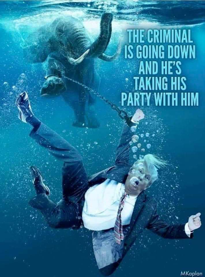 KristinAndrade's tweet photo. @FoxNews #IMPOTUS2 can't even fall off a bike bc he can't get his fat ass on one! 😆 🚲 https://t.co/6UPhJgLrsR