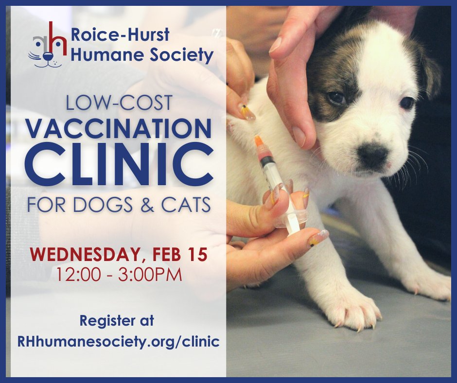 RoiceHurst's tweet image. Is your dog or cat up-to-date on their vaccines? If not, join us at our monthly low-cost vaccination clinic on Wednesday, February 15! Learn more and register at RHhumanesociety.org/clinic. Spaces are limited and pre-payment of the exam fee is required to hold your place.
