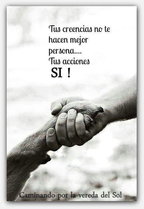 somosunicos01's tweet photo. 🌞🌞🌞 https://t.co/sFuscD3u1h