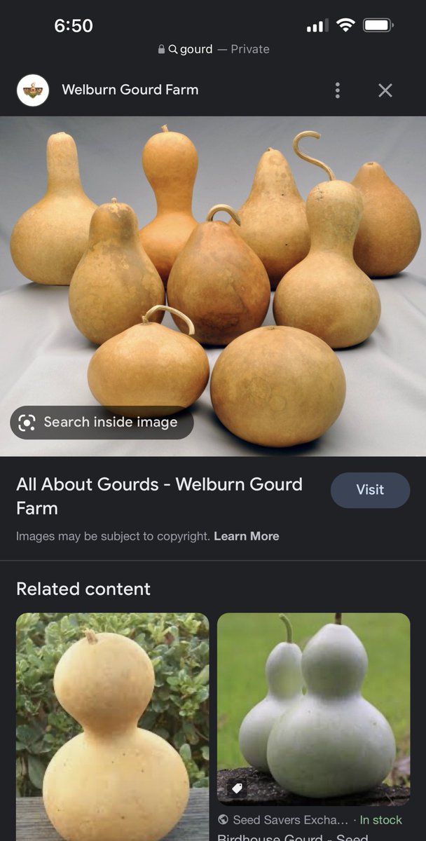 myplaceoryours_'s tweet photo. my place or gourds https://t.co/5uleFz1QsT