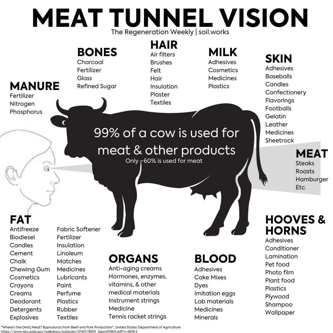 #DYK that only about 60% of a cow is used for meat? Check out some of the uses for the other 40%!