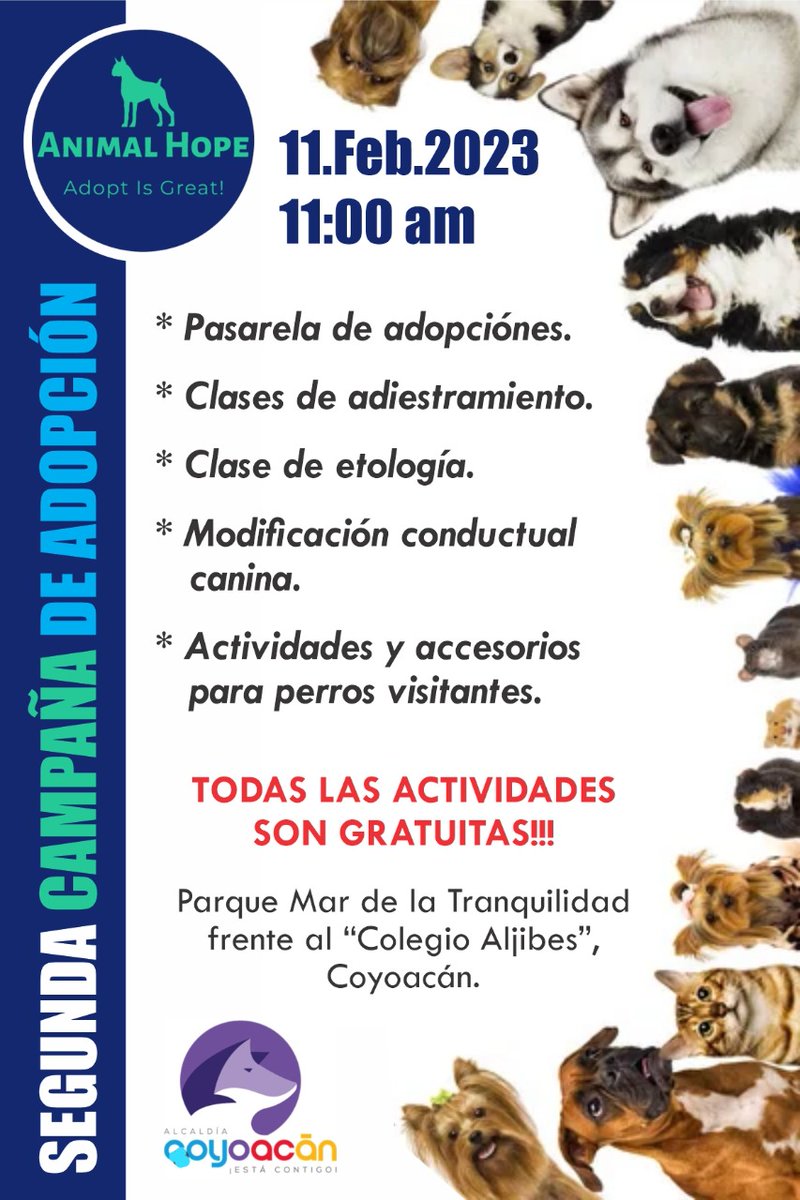 Nuestros amigos de #AnimalHope nos están invitando a esta feria de #adopciones. Si conoces a alguien que esté en busca de una compañero de vida es el momento de ir por él.
📅 11 de febrero
🕚 11 am
📍 Parque Mar de la tranquilidad. Frente a Colegio Aljives (canal de Miramontes)