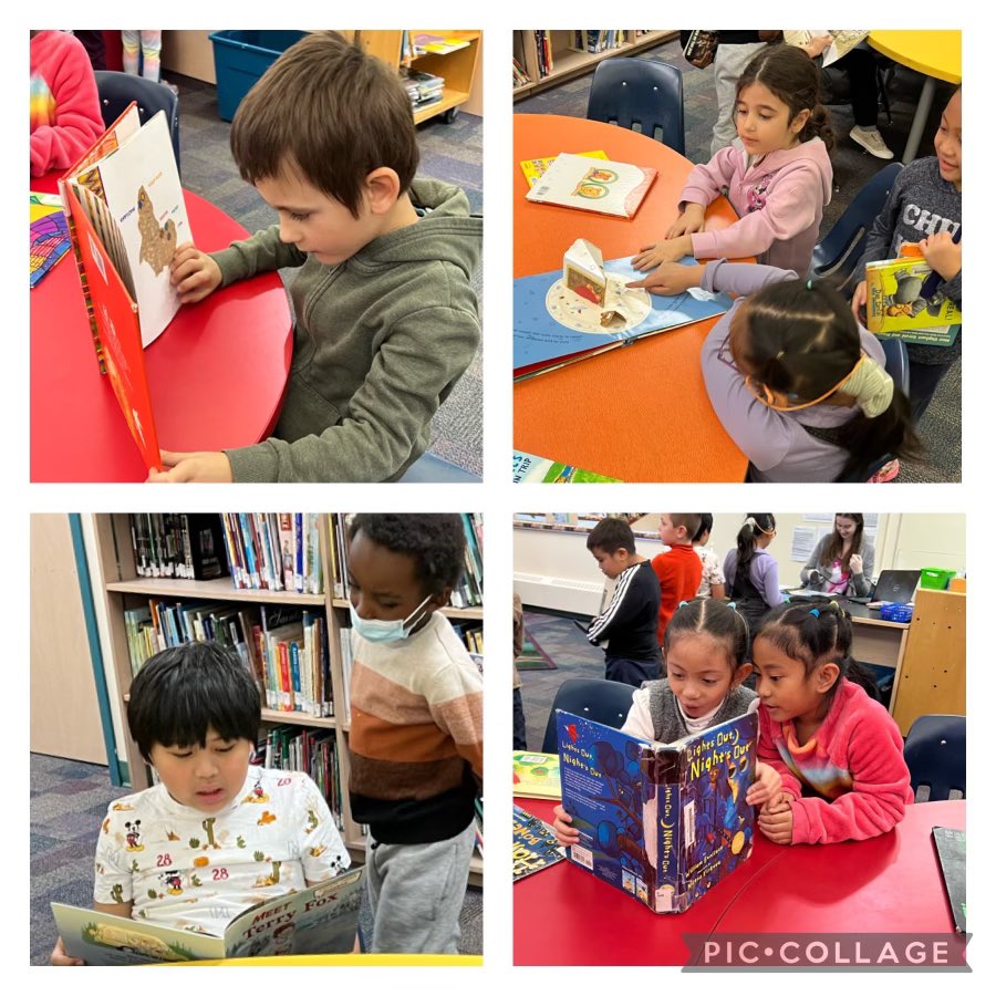 frdoucet_ccsd's tweet image. A great way to start the week! Grade 1 T picking out good fit books during library!
#library #read #cssd
