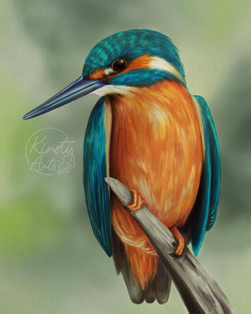 Messing around with brushes and styles
.
#kingfisher #kingfisherart #kingfisherartwork #digitalart #digitalpainting #art #artoftheday #artist #digitalartist #digitalwatercolor #bird #nature #natureart #birdart instagr.am/p/CoYR7WUKR2F/