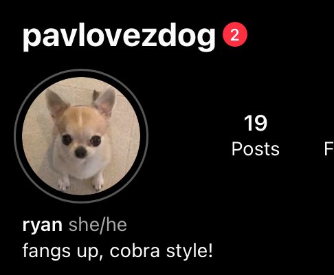 ryan 🥸 tweet media