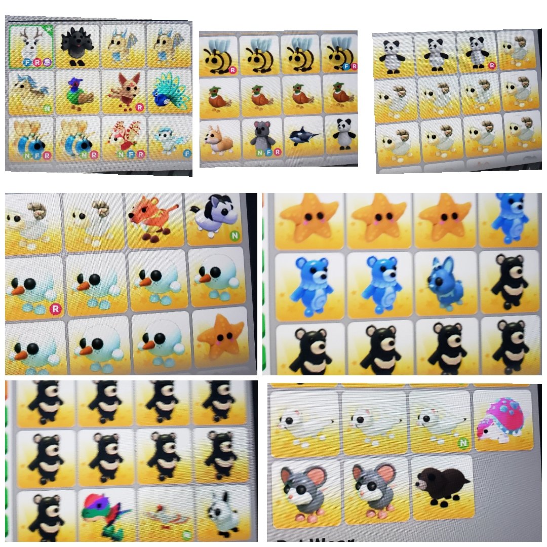 Trading! looking for neon turtles!