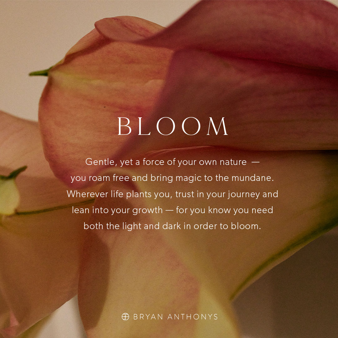 2.8👀🌼 Something is coming! Can you guess what it is?

#bryananthonys #meaningfuljewelry