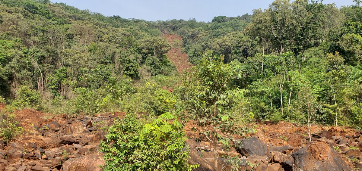 Lyndon Baines-Johnson (@evlynbaines80) on Twitter photo It was a joy to visit the trees planted at the York landslide site under the #FreetownTheTreeTown campaign. Ecosystem Restoration remains a huge priority of <a href="/yakisawyerr/">Yvonne Aki-Sawyerr OBE</a> and the <a href="/FCC_Freetown/">Freetown City Council</a> in the journey to #TransformFreetown.
🙏 to accompanying Comms colleague @SiaKamara8 It was a joy to visit the trees planted at the York landslide site under the #FreetownTheTreeTown campaign. Ecosystem Restoration remains a huge priority of <a href="/yakisawyerr/">Yvonne Aki-Sawyerr OBE</a> and the <a href="/FCC_Freetown/">Freetown City Council</a> in the journey to #TransformFreetown.
🙏 to accompanying Comms colleague @SiaKamara8