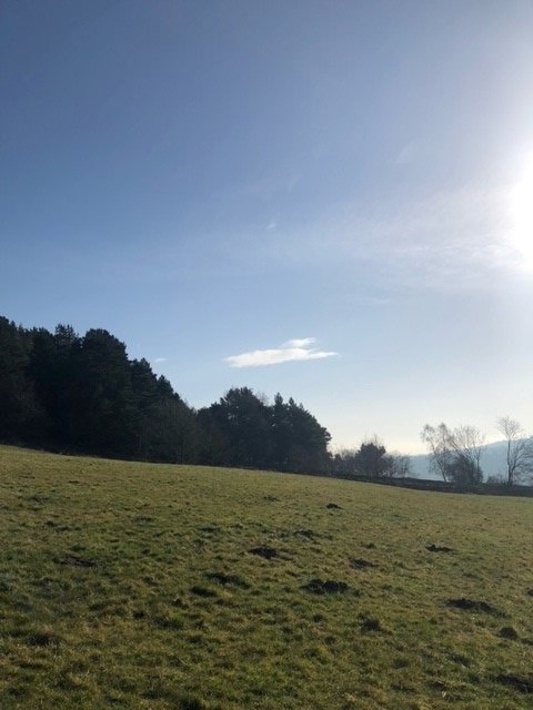 DFedMH's tweet photo. Our well-being walk yesterday at Lumsdale, Matlock. 🌿 https://t.co/VpgIs5KF00