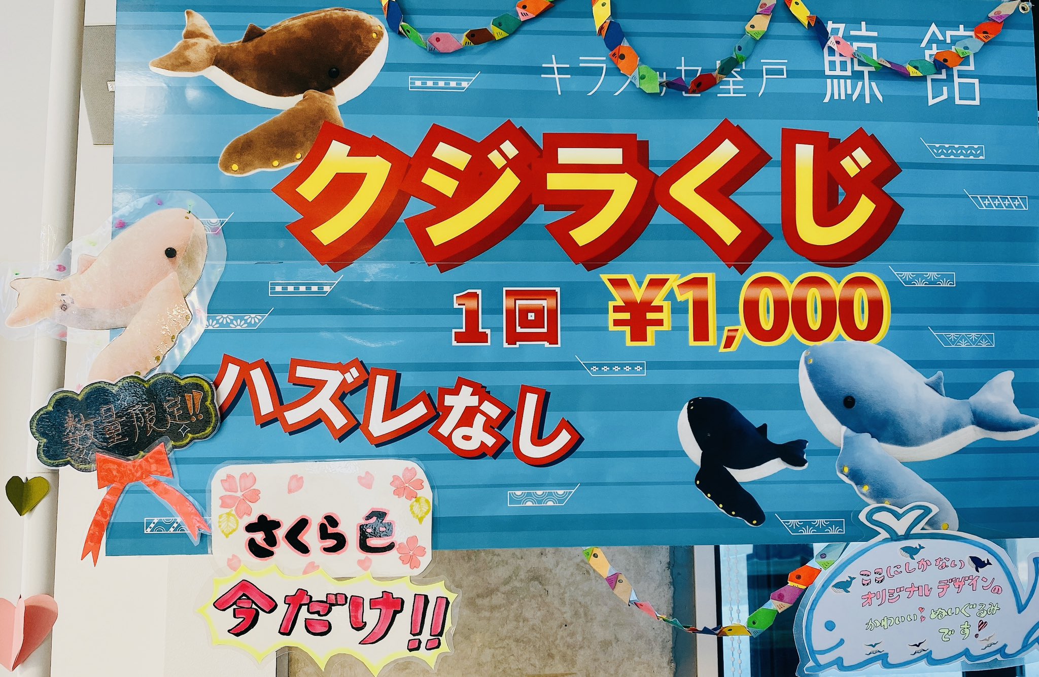 くじら キラメッセ室戸 鯨館【公式】 в X: „🌸桜色🌸🐳クジラくじ🐳ご