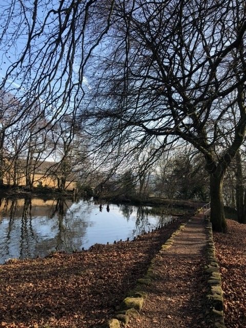 DFedMH's tweet photo. Our well-being walk yesterday at Lumsdale, Matlock. 🌿 https://t.co/BmPFdLYdwY