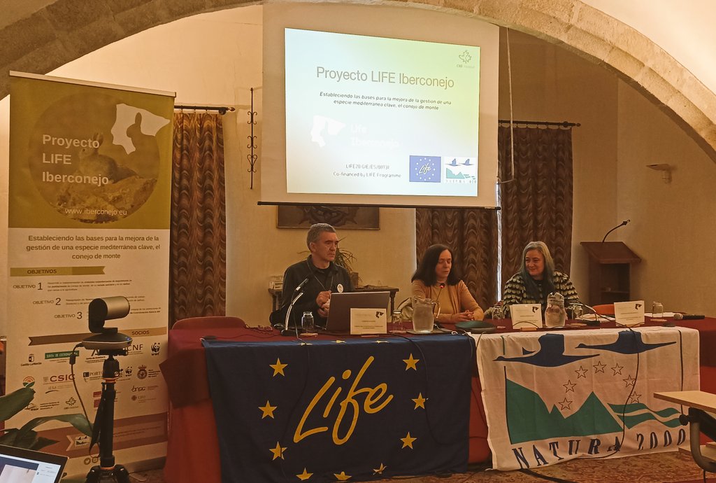 LIFE Iberconejo tweet media