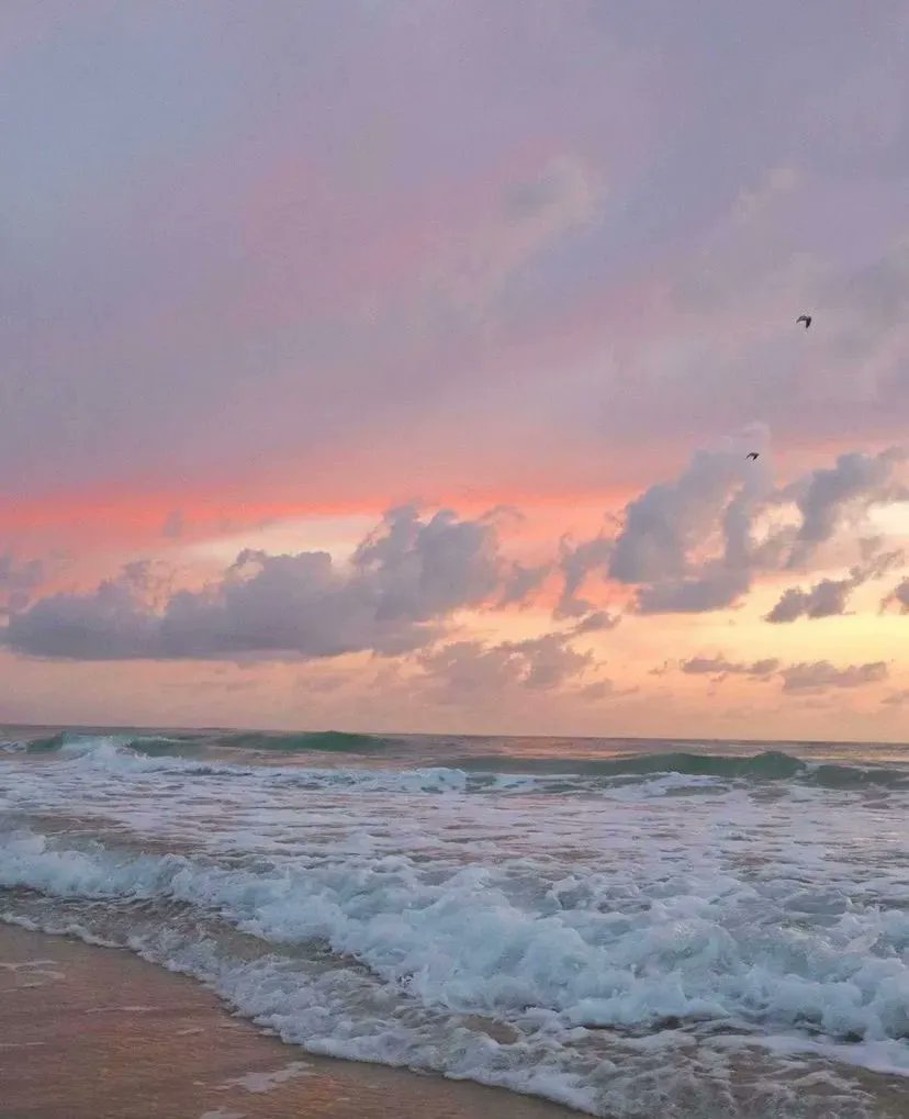 Aesthetics (@aestheticspost_) on Twitter photo 