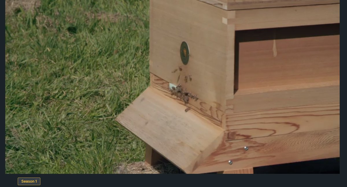Did you spot our hive on <a href="/BYDHITC/">buildyourdreamhomeinthecountry</a>? 🐝

If you want to watch this episode it's on <a href="/channel5_tv/">Channel 5</a> Series 1, episode 5. 

#beekeeping #bees #beekeeping #wildlife #garden #nature
