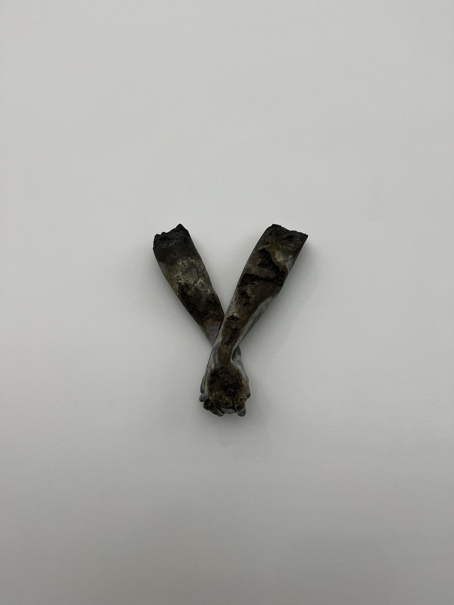 SHITTSHOWW's tweet photo. @DanielArsham 🪣🦏🔮 https://t.co/7rvcJ2ik8a