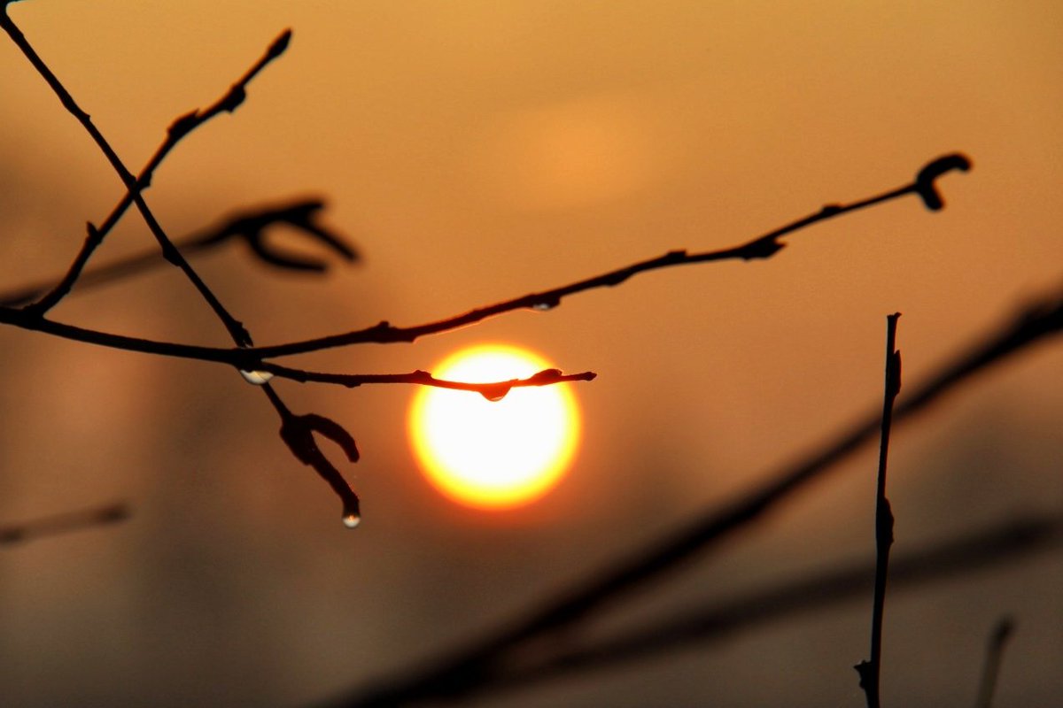 De dag vanmorgen vroeg begonnen met een blokje om, even genieten van de prachtige #zonsopkomst