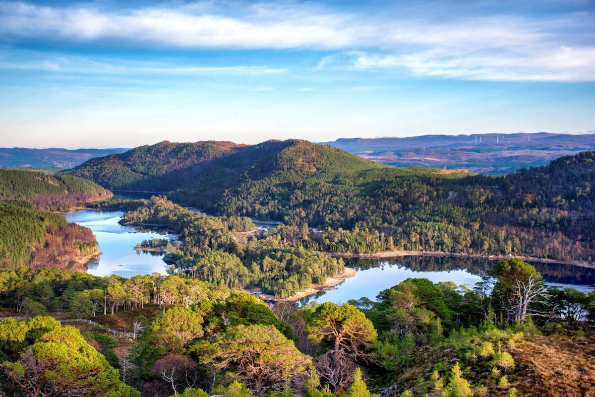 ScottishLandCom's tweet photo. 📣A new paper, 'Community benefits from investment in #NaturalCapital,’ launched today hopes to stimulate discussion on the ways communities can benefit from land use change and investment for Scotland’s #NetZero ambition: https://t.co/ycpPRIVc8N
#CommunityBenefit #LandReform https://t.co/J0LKY5ffVI