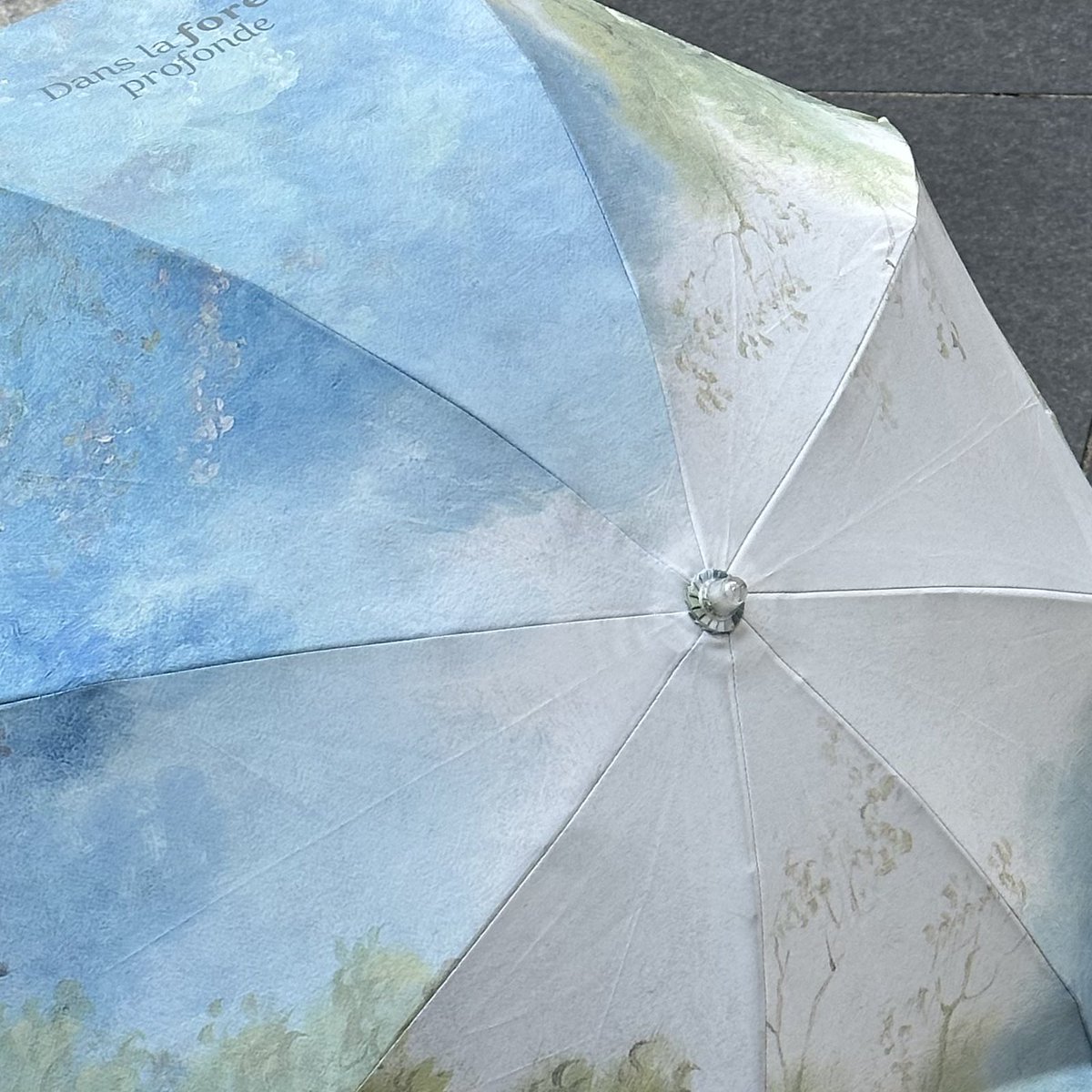 #RT이벤트 샘플킹이 되어버린 사람의 눈물 젖은 이벤트🥹 이 세상 유일한 단 하나의 포레스트 양산🌿 RT 추첨을 통해 보내드립니다. 양산 스펙이 퀄리티가 막 떨어지는건 아닌데… 우선 접는 것도 너무 복잡하구, 배송상 문제도 많을 것 같긴해서🥹