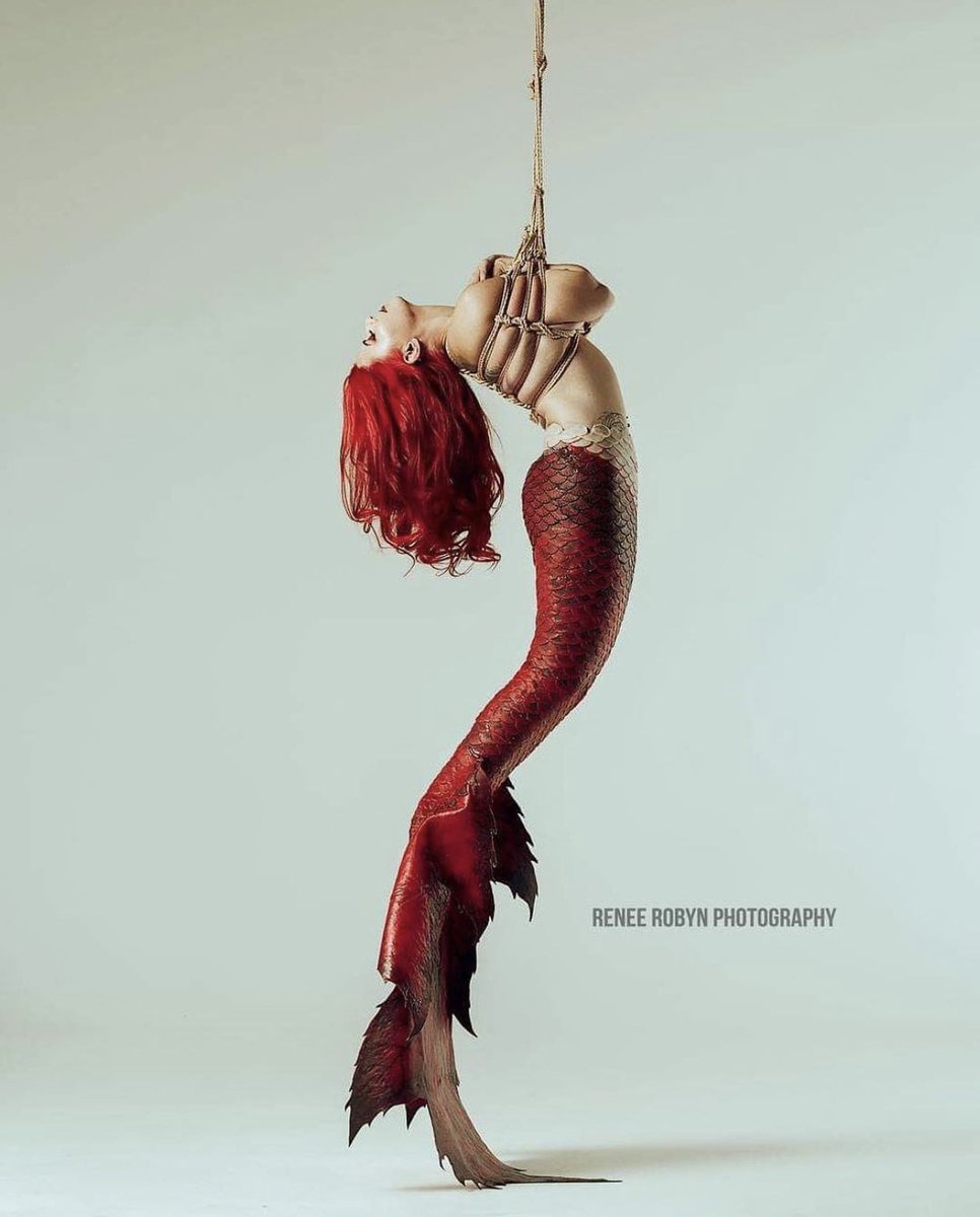 renee robyn tweet media