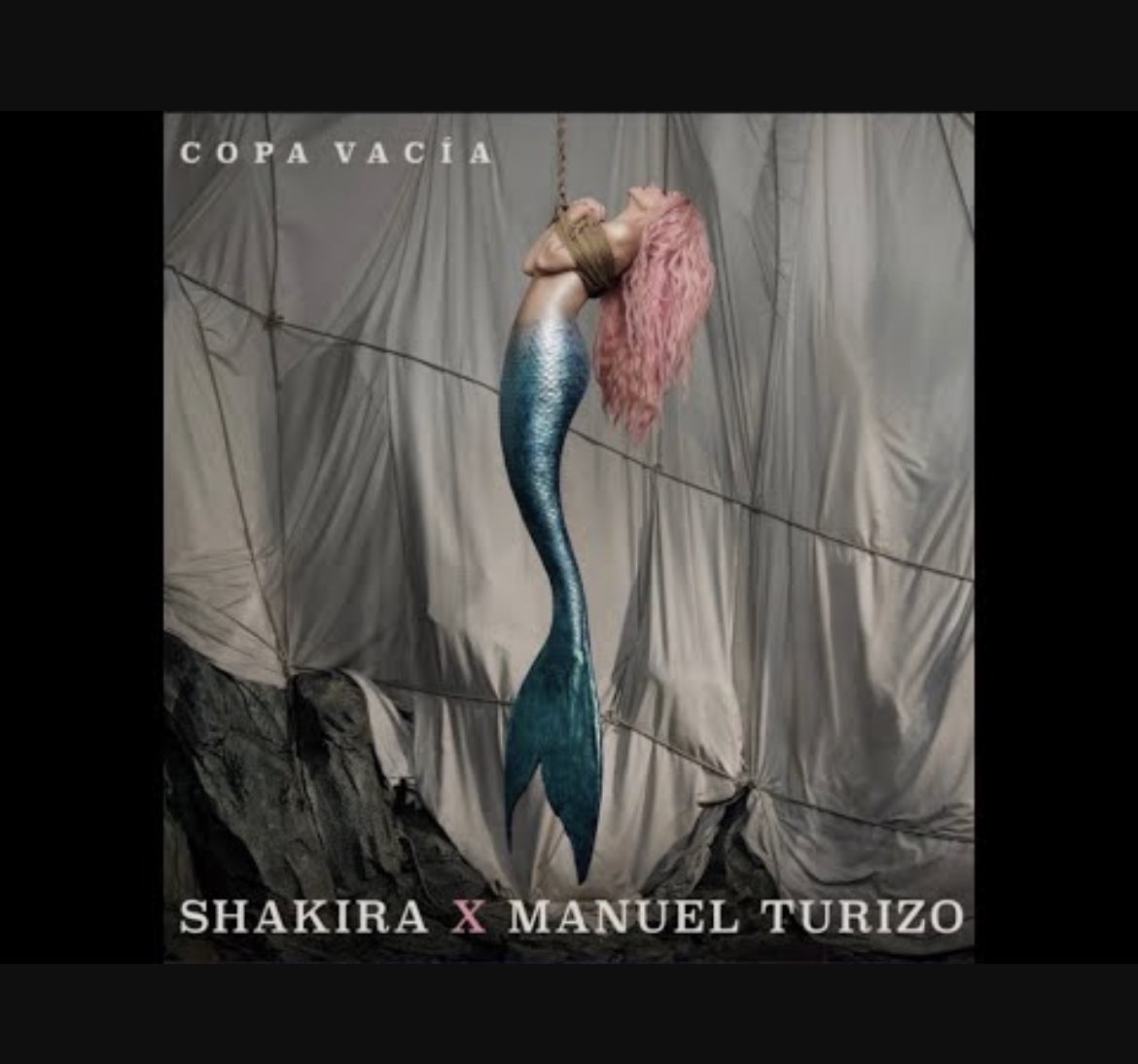 renee robyn tweet media