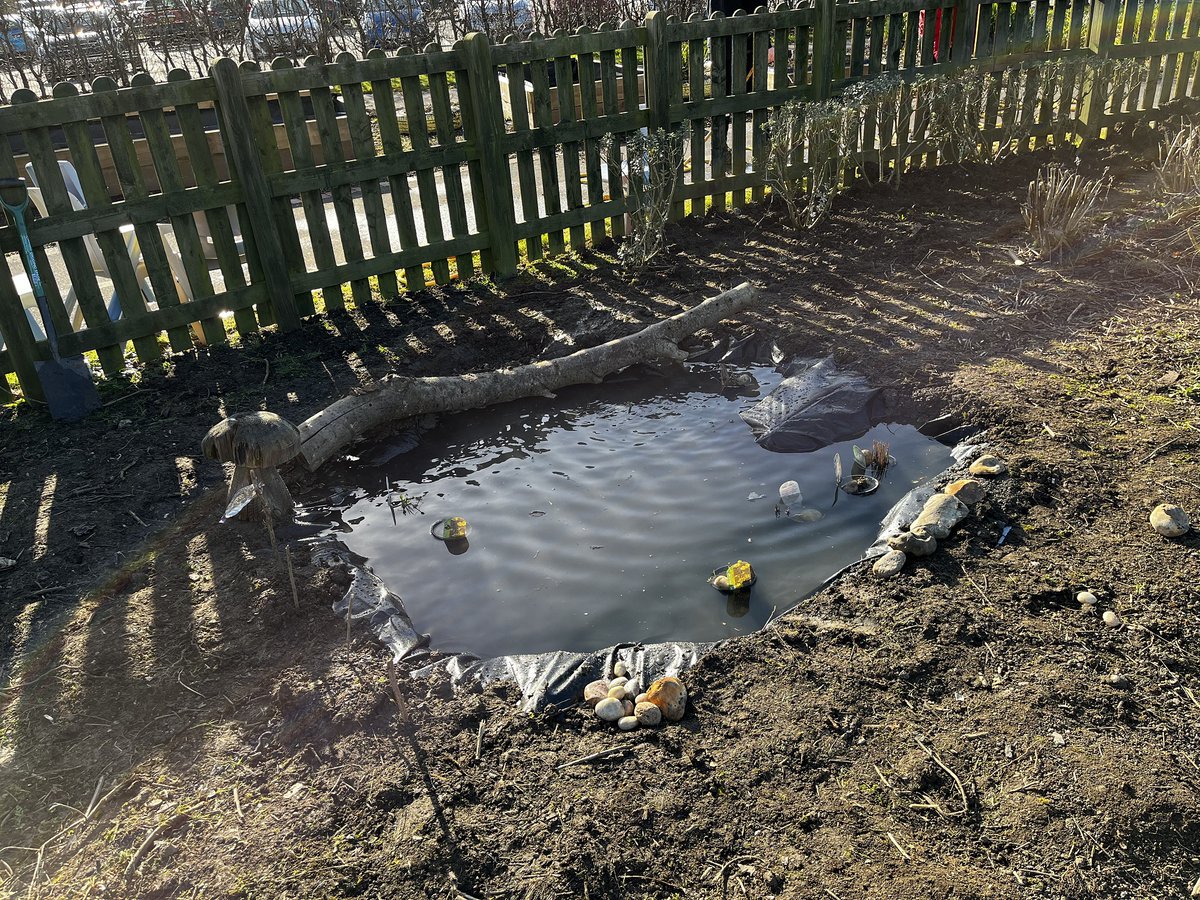 HumberNHSFT's tweet image. The SMASH project have been busy creating pond areas in schools as part of the Wildlife Pond Project being delivered in partnership with Mental Health Support Teams. 🍃

The Project focuses on young peoples' relationships with emotional wellbeing and Nature.