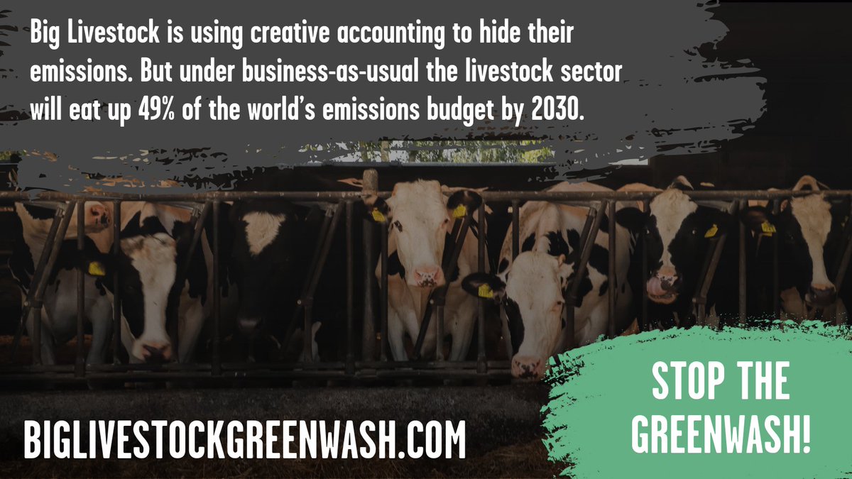 Foodrise tweet media