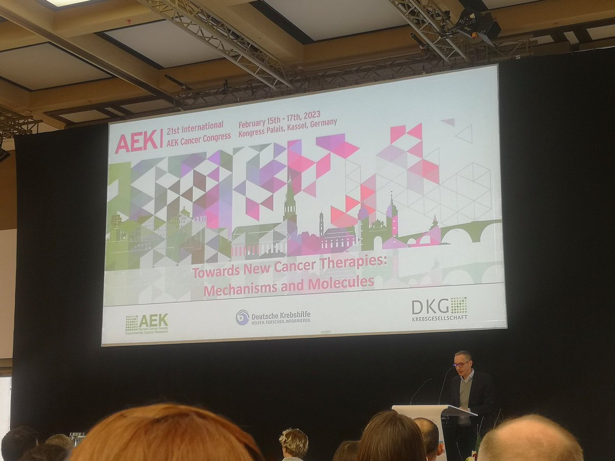 Nikolett Pahor (@nikipahor) on Twitter photo 21st AEK Cancer Congress is now ON! Looking forward to hear great talks, visiting posters and have vivid discussions. <a href="/DiefenbacherL/">@diefenbacherlab.bsky.social</a>
in company with <a href="/MYCGyvers/">Eilers Lab</a> @DimitriosRNA <a href="/krenz_bastian/">Bastian Krenz</a> <a href="/AbdallahHatem4/">Abdallah Gaballa</a> <a href="/_WolfLab/">Wolf Lab for Tumor Biochemistry</a> @EingLorenz @MV4_11 21st AEK Cancer Congress is now ON! Looking forward to hear great talks, visiting posters and have vivid discussions. <a href="/DiefenbacherL/">@diefenbacherlab.bsky.social</a>
in company with <a href="/MYCGyvers/">Eilers Lab</a> @DimitriosRNA <a href="/krenz_bastian/">Bastian Krenz</a> <a href="/AbdallahHatem4/">Abdallah Gaballa</a> <a href="/_WolfLab/">Wolf Lab for Tumor Biochemistry</a> @EingLorenz @MV4_11