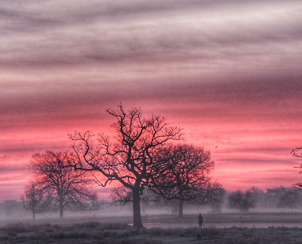 Beautiful pink sky this morning at dawntime #sunrise #landscape #loveukweather #ukpotd #beautifulskies @itvlondon @theroyalparks @metoffice @itvlondon @SallyWeather @FriendsofTrees @visitlondon