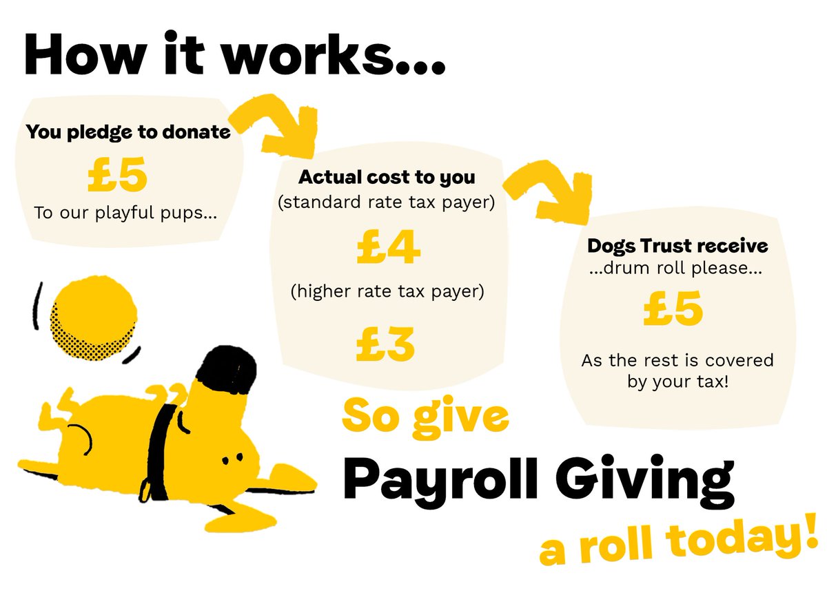 This #PayrollGivingMonth, make a difference to the dogs in our care by signing up for Payroll Giving 💛  Not sure how it works? Here's a quick breakdown 👇

Thank you to everyone who signs up to help us be there for more dogs 🐶 bit.ly/3Y3gKrO