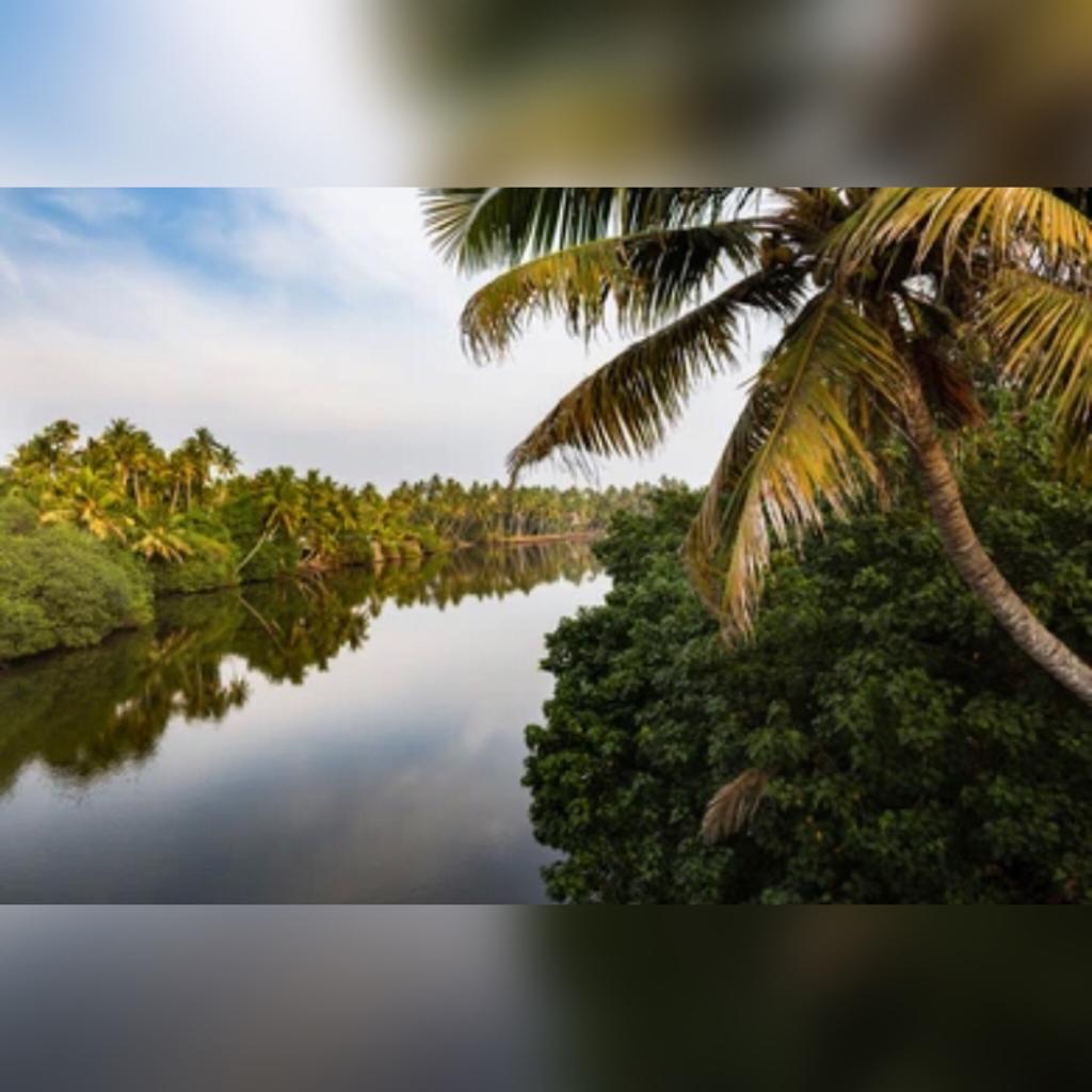 MCKGCAP's tweet photo. Nature holds the key to our aesthetic, intellectual cognitive and even spiritual satisfaction.
#mckgc #i #canclean #canal #nature #water #green #trees #cdma #swahhandhra https://t.co/lFP8fN4bok