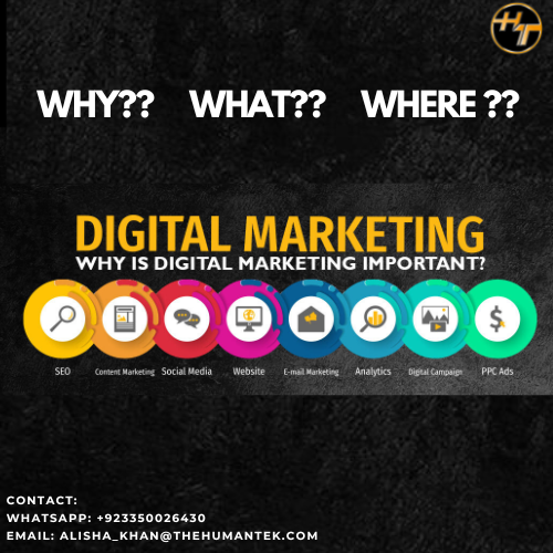 Alishahumantek's tweet photo. Make your business online with @humantek

#business #marketing #digitalmarketing #digitalmarketing #digital #seo #email #searchengines #help #letsconnnect #humantek #digitaltranformation #contentmarketing #outsourceservices #startup https://t.co/3spIAZRsSw