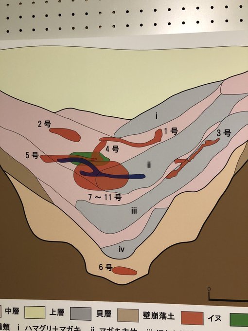 こう言う感じで6号イッヌは底に埋められており……そしてこれが贄にされたっぽい6号イッヌだ!!
おのれ奈良時代人、垂れ耳イッヌに悪魔の所業!
生類憐れみの令を発動してくれるわ! 