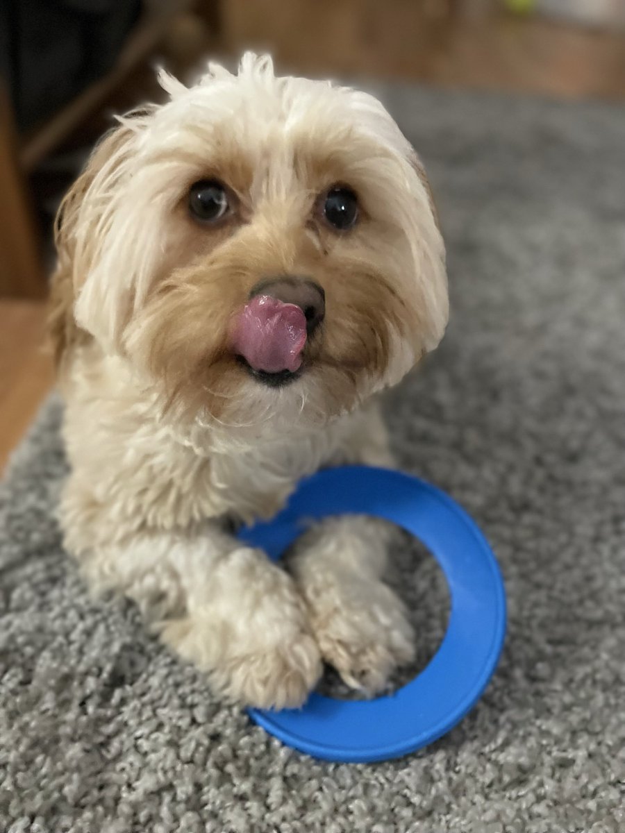 Claire Mitchell (Mills) MSc, ILM, QN tweet media