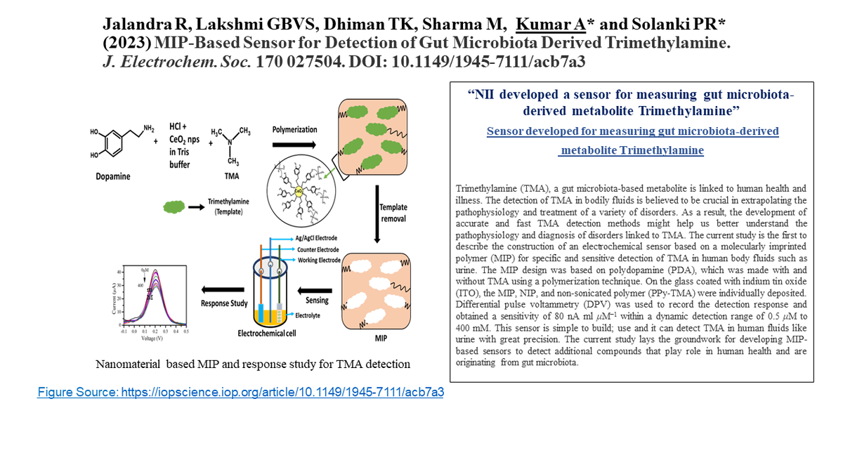 Scientists @Nimmunology @AnilKumar_NII developed a sensor in collaboration with Dr.Pratima R. Solanki for measuring gut microbiota-derived metabolite Trimethylamine” @DBTIndia @DrJitendraSingh @rajesh_gokhale Ref:👇iopscience.iop.org/article/10.114…